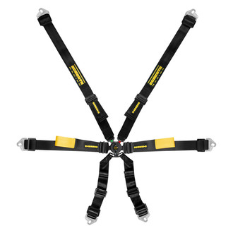 Schroth® - 6-Point Enduro™ 2x2" Harness Belts