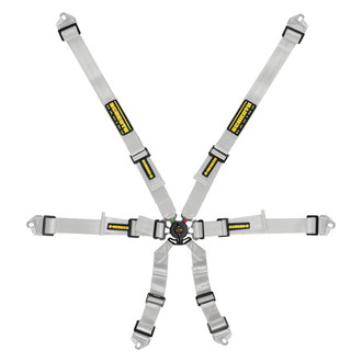 Schroth® - 6-Point Profi™ Flexi Harness Belts, Silver