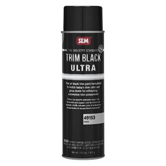 SEM® - 20 fl. oz. Gloss Black Aerosol Exterior Paint