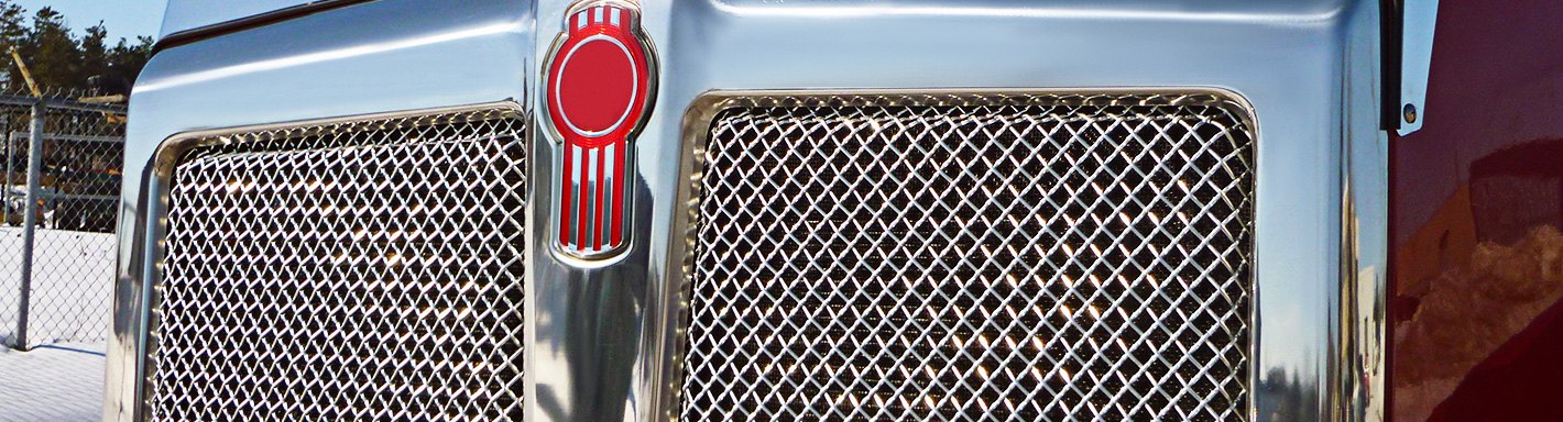 Wire Mesh Grilles for Cars
