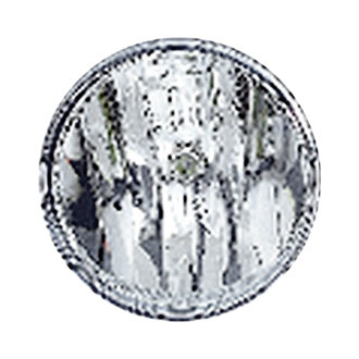 Sherman® - Passenger Side Replacement Fog Light (Value Line)