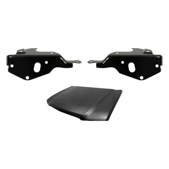 Sherman® BNDL-200188 - 3-Piece (Hood Panel, Driver and Passenger Side Hood Hinge) (Value Line)