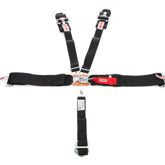 Simpson® - Latch and Link 62" Pull Up Bolt-in Individual 5-Point Harness System