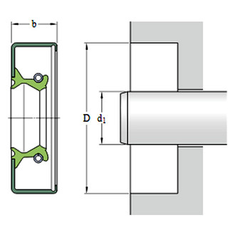 SKF® - Crankshaft Seal
