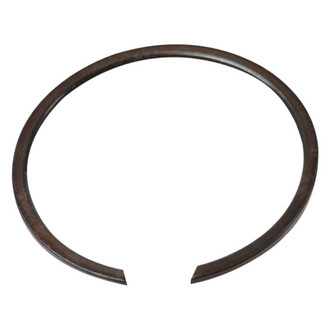 SKF® - Rear Driver or Passenger Side Wheel Bearing Retainer
