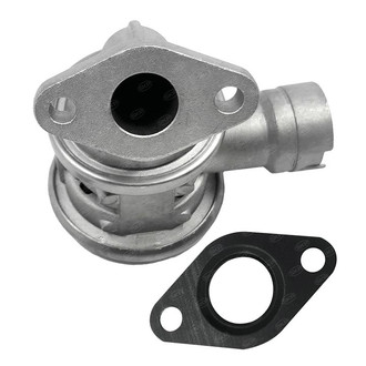 SKP® - Secondary Air Injection Check Valve