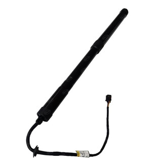SKP® - Liftgate Lift Support