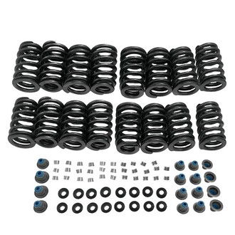 SKP® - Valve Spring Kit