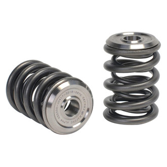 Skunk2® - Alpha Series Valve Spring & Titanium Retainer Kit