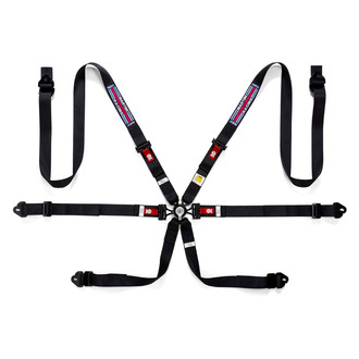 Sparco® 04834HPDMRNR - 6-Point Martini Series FIA Harness Set, Black