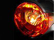 Bright lamps and clear lenses for added safety on the road