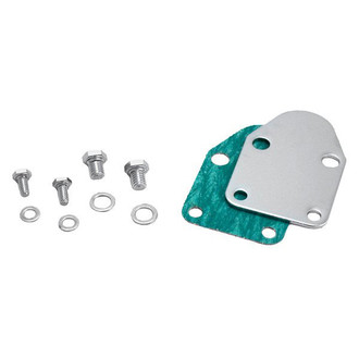 Spectre Performance® - Chrome Fuel Pump Block-Off Plate