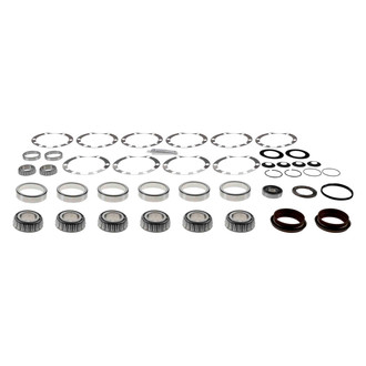 Spicer® - Differential Master Overhaul Kit