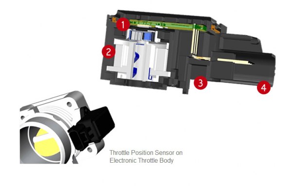Throttle Position Sensors