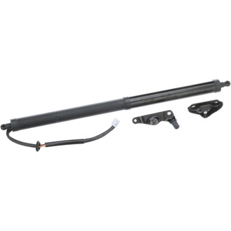 Standard® - Driver Side Liftgate Lift Support