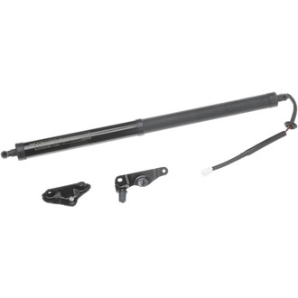 Standard® - Passenger Side Liftgate Lift Support
