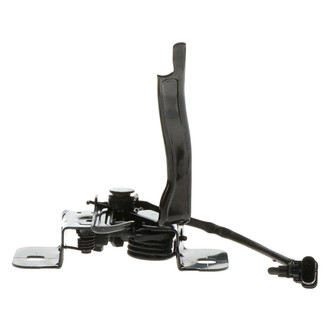 Standard® - Hood Latch Assembly