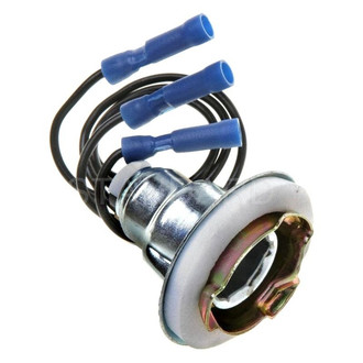 Standard® - Rear Combination Light Socket