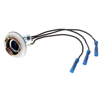 Standard® - Rear Combination Light Socket