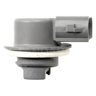 Standard® - Back Up Light Socket