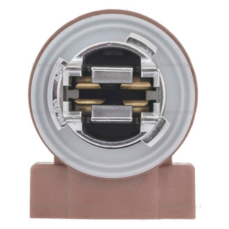 Standard® - Back Up Light Socket