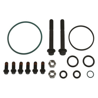 Standard® - Gasket