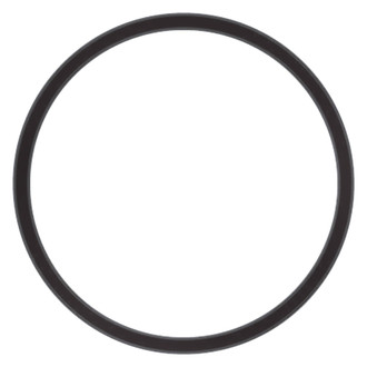 Stant® - Engine Coolant Thermostat Seal