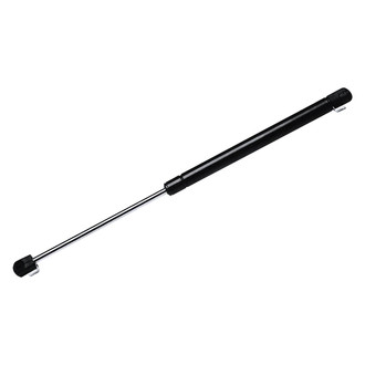StrongArm® - Back Glass Lift Support