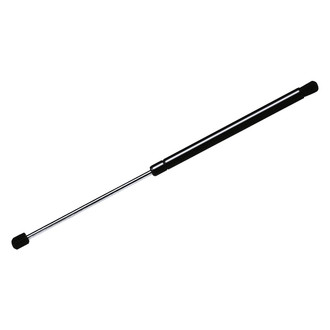 StrongArm® - Back Glass Lift Support