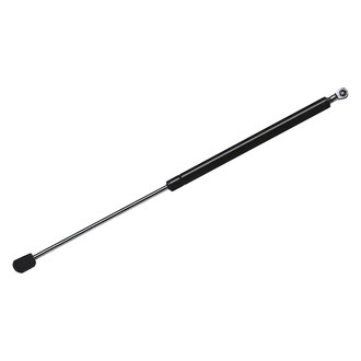 StrongArm® - Back Glass Lift Support