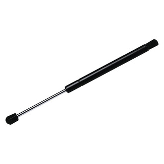 StrongArm® - Back Glass Lift Support