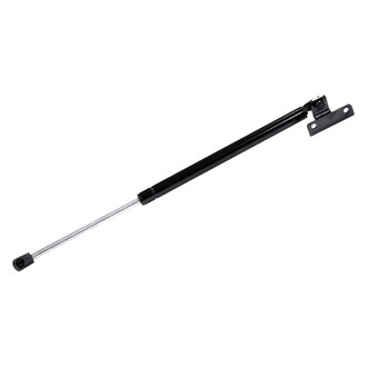 StrongArm® - Back Glass Lift Support