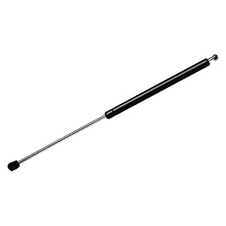 StrongArm® - Back Glass Lift Support