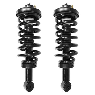 Suncore® - Rear Complete Strut Assemblies