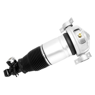 Suncore® - Rear Passenger Side Electronic Air Complete Strut Assembly