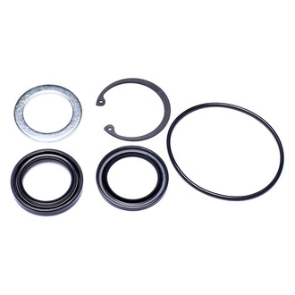 Sunsong® - Steering Gear Pitman Shaft Seal Kit