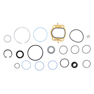 Sunsong® - Steering Gear Seal Kit