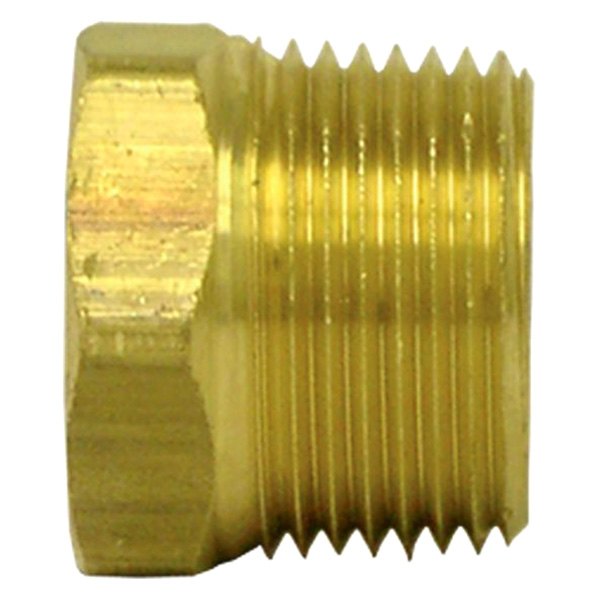 Tectran® - Brass Hex Head Plug