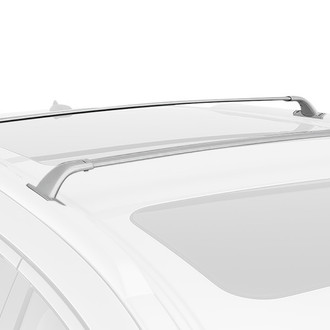Torxe™ - 46" Silver Load Bars