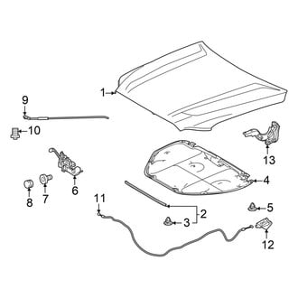 Toyota OE - Hood & Components (W/O Scoop)