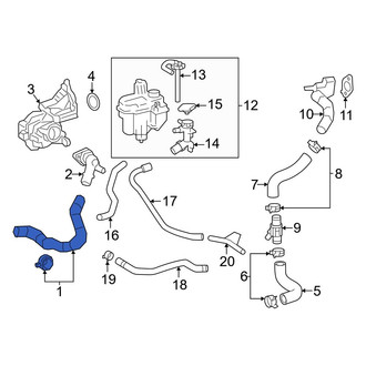 Toyota OE - Right Radiator Coolant Hose