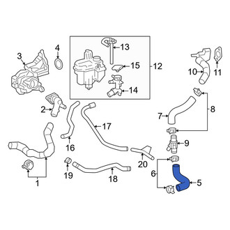 Toyota OE - Right Radiator Coolant Hose