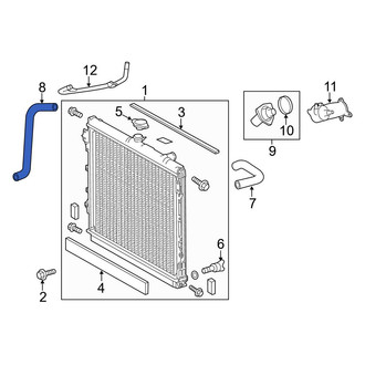 Toyota OE - Lower Radiator Coolant Hose