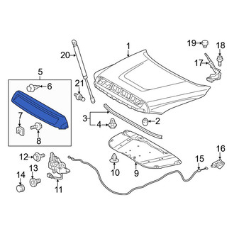 Toyota OE - Front Hood Molding