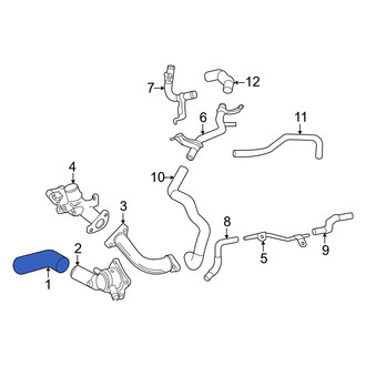 Toyota OE - Lower Radiator Coolant Hose