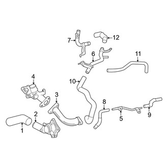 Toyota OE - Cooling - Hoses & Lines (Left Side), (1794 Edition / Capstone / Limited / Platinum / SR / SR5 / TRD Pro)