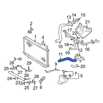 Toyota OE - Lower Radiator Coolant Hose