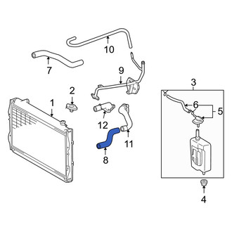 Toyota OE - Lower Radiator Coolant Hose