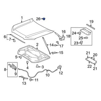 Toyota OE - Back Up Light Assembly Nut