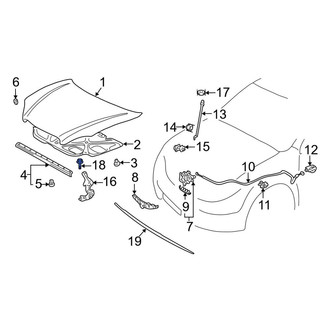 Toyota OE - Hood Hinge Bolt
